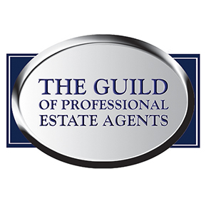 The Guild
